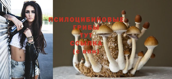 винт Аркадак