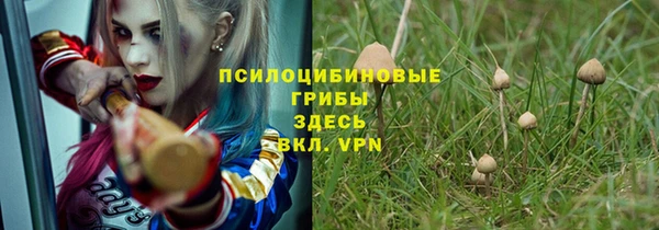 дживик Армянск