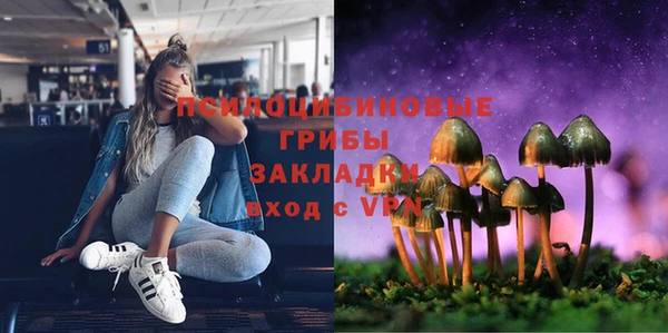 дживик Армянск